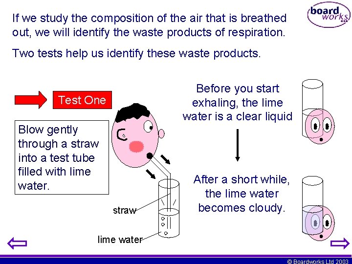 If we study the composition of the air that is breathed out, we will