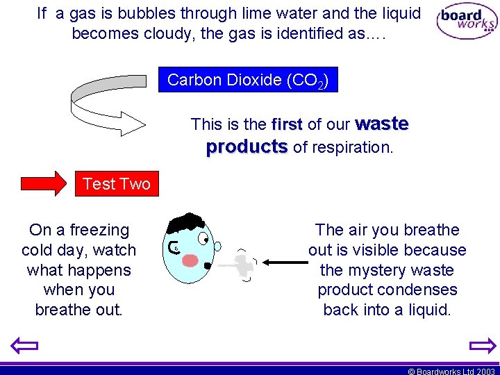 If a gas is bubbles through lime water and the liquid becomes cloudy, the