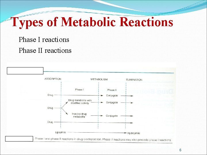 Types of Metabolic Reactions Phase I reactions Phase II reactions 6 