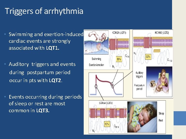 Triggers of arrhythmia • Swimming and exertion-induced cardiac events are strongly associated with LQT