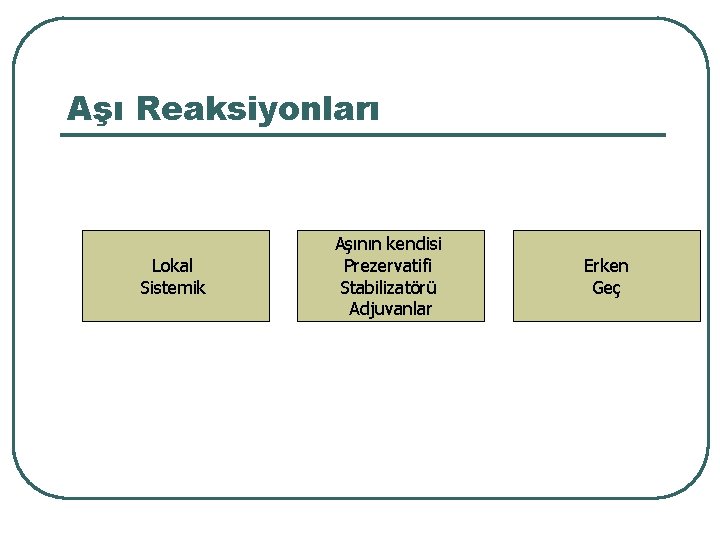 Aşı Reaksiyonları Lokal Sistemik Aşının kendisi Prezervatifi Stabilizatörü Adjuvanlar Erken Geç 