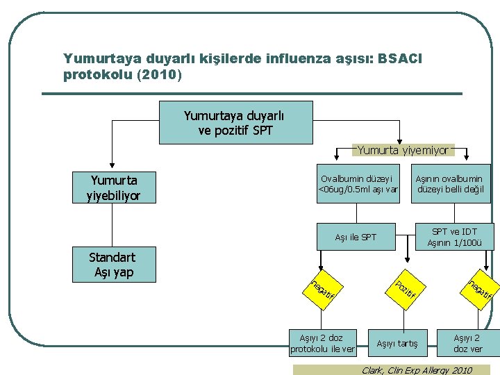 Yumurtaya duyarlı kişilerde influenza aşısı: BSACI protokolu (2010) Yumurtaya duyarlı ve pozitif SPT Yumurta