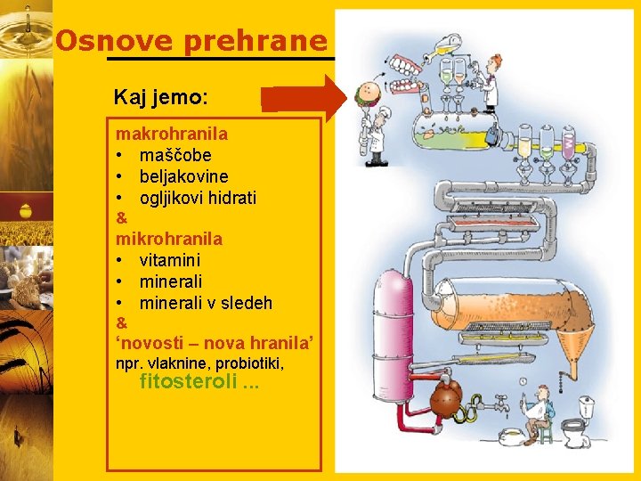 Osnove prehrane Kaj jemo: makrohranila • maščobe • beljakovine • ogljikovi hidrati & mikrohranila