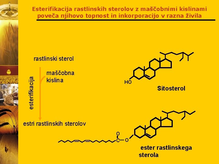 Esterifikacija rastlinskih sterolov z maščobnimi kislinami poveča njihovo topnost in inkorporacijo v razna živila