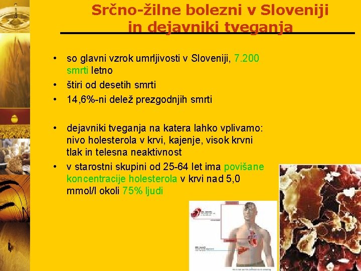 Srčno-žilne bolezni v Sloveniji in dejavniki tveganja • so glavni vzrok umrljivosti v Sloveniji,