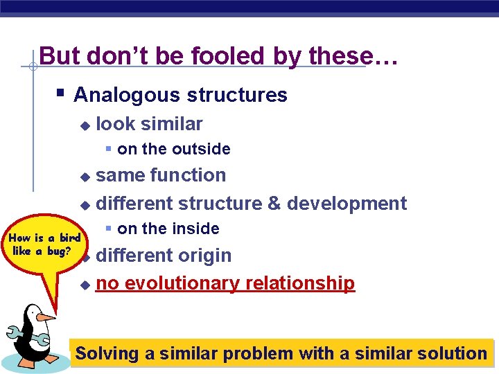 But don’t be fooled by these… § Analogous structures u look similar § on