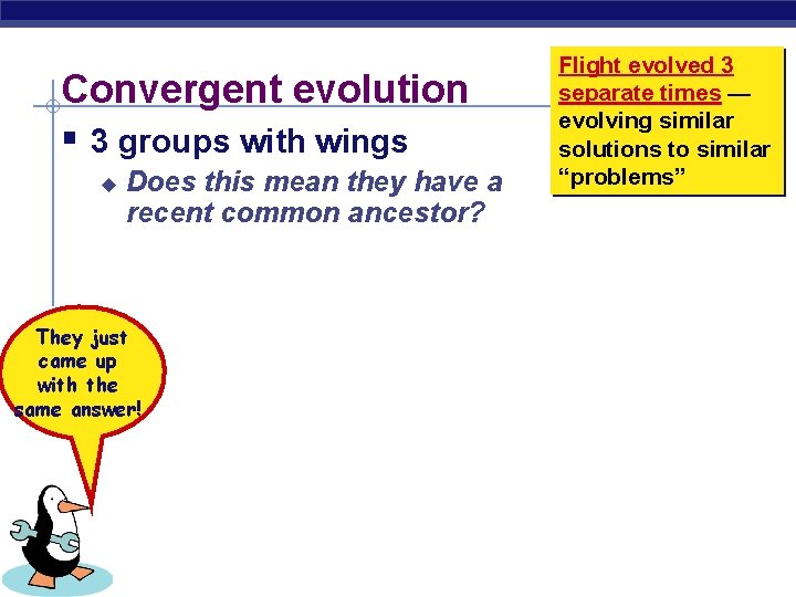 Convergent evolution § 3 groups with wings u Does this mean they have a