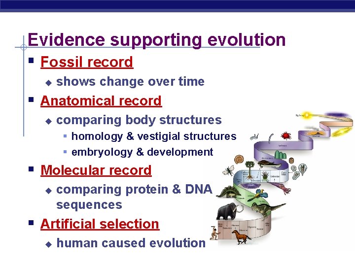 Evidence supporting evolution § Fossil record u shows change over time § Anatomical record