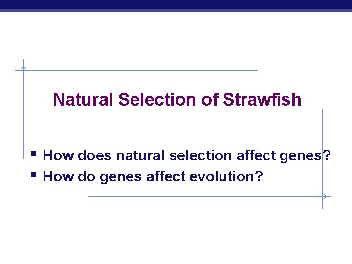 Natural Selection of Strawfish § How does natural selection affect genes? § How do