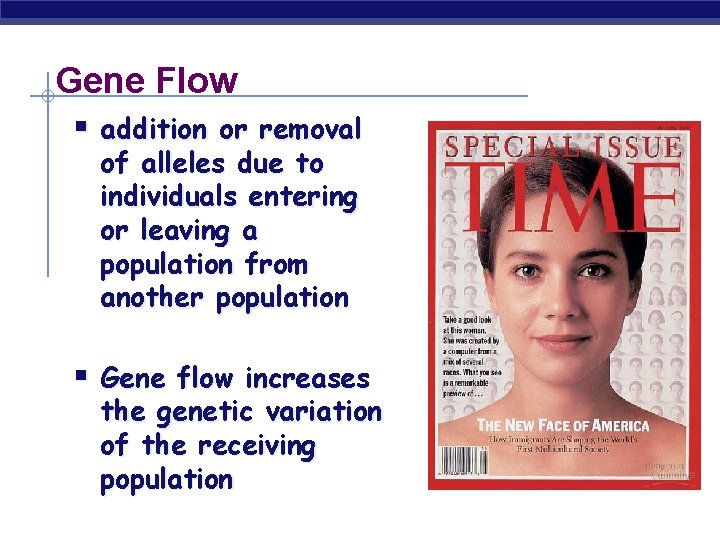 Gene Flow § addition or removal of alleles due to individuals entering or leaving