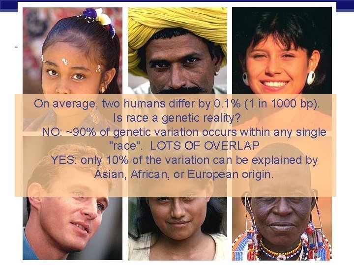 On average, two humans differ by 0. 1% (1 in 1000 bp). Is race