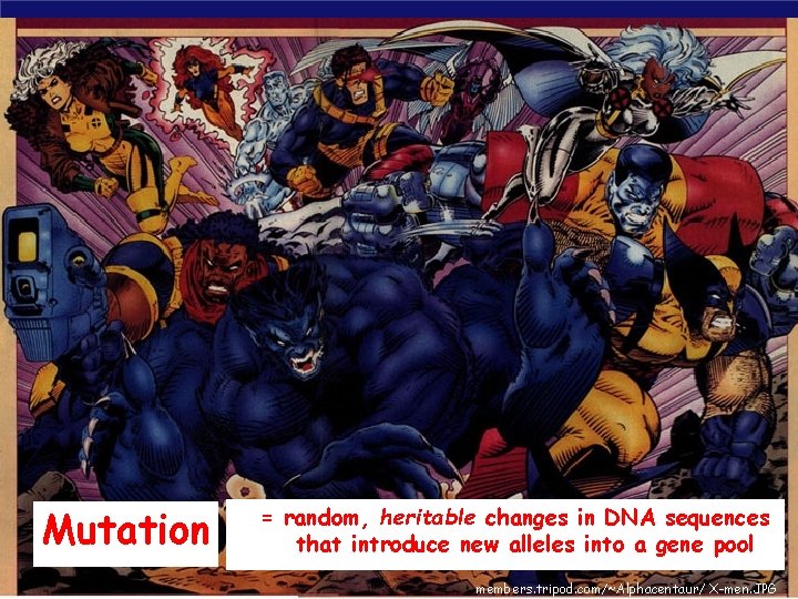 Mutation = random, heritable changes in DNA sequences that introduce new alleles into a