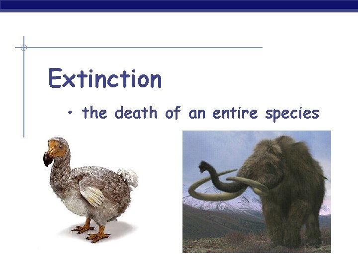Extinction • the death of an entire species 