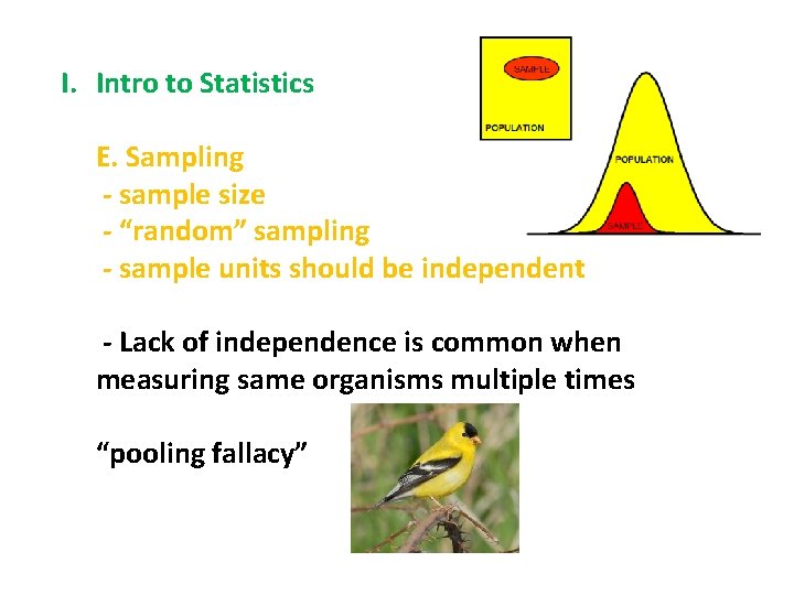 I. Intro to Statistics E. Sampling - sample size - “random” sampling - sample