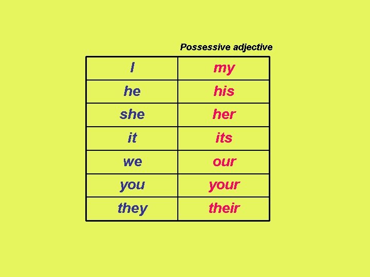 Possessive adjective I my he his she her it its we our your they
