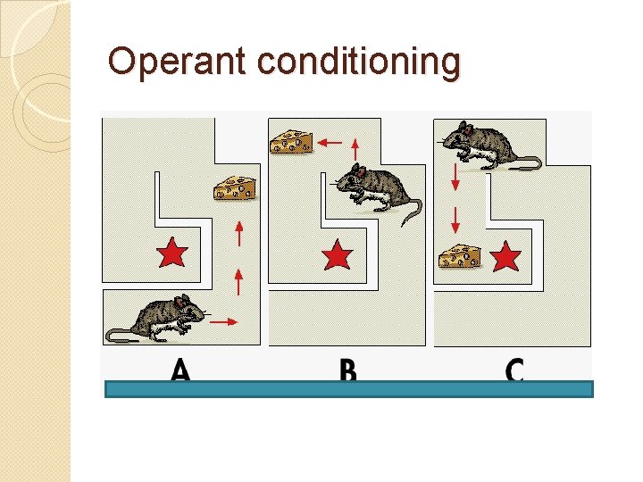 Operant conditioning 