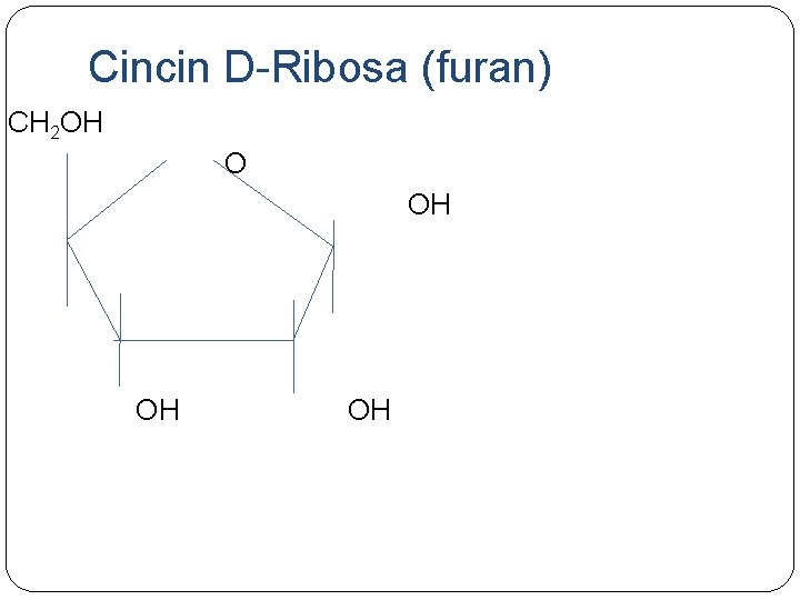 Cincin D-Ribosa (furan) CH 2 OH OH OH Cincin D-Ribosa (furan) CH 2 OH OH OH