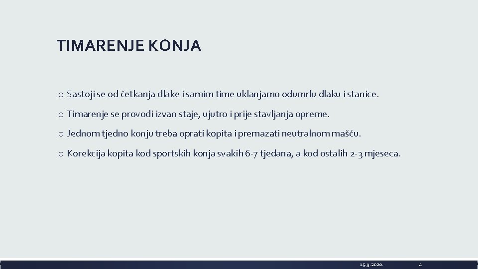 TIMARENJE KONJA o Sastoji se od četkanja dlake i samim time uklanjamo odumrlu dlaku