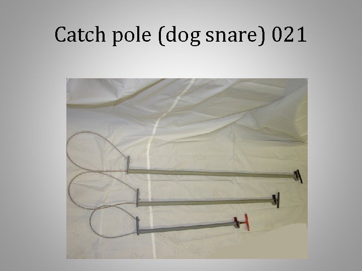 Catch pole (dog snare) 021 
