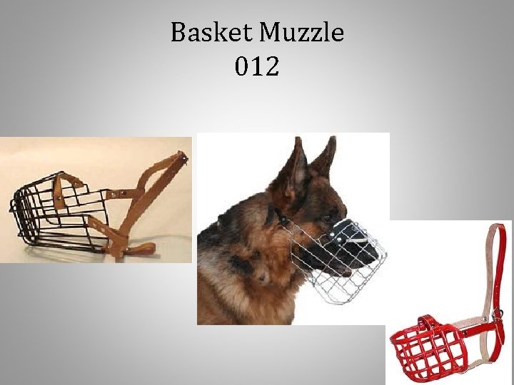 Basket Muzzle 012 