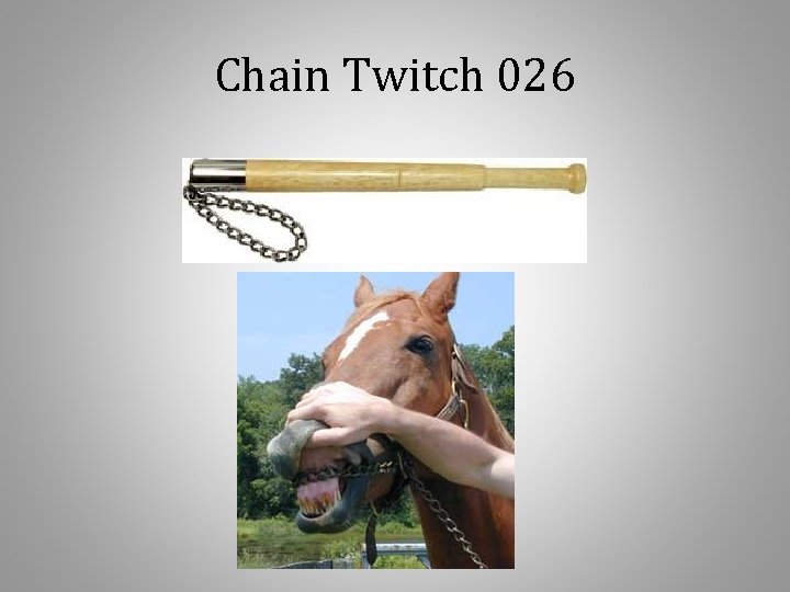 Chain Twitch 026 