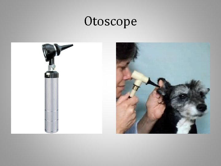 Otoscope 