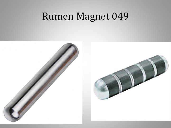 Rumen Magnet 049 