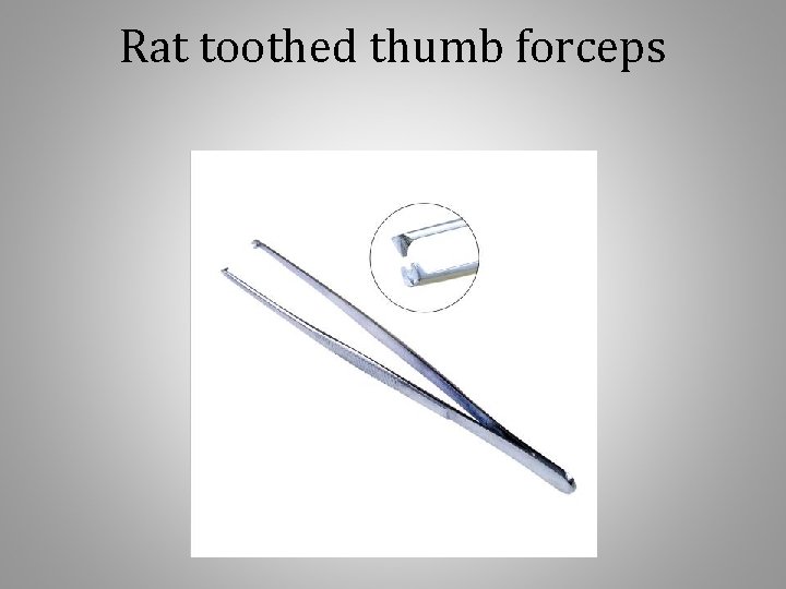 Rat toothed thumb forceps 