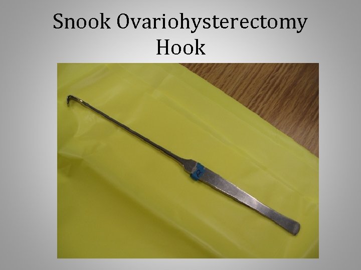 Snook Ovariohysterectomy Hook 