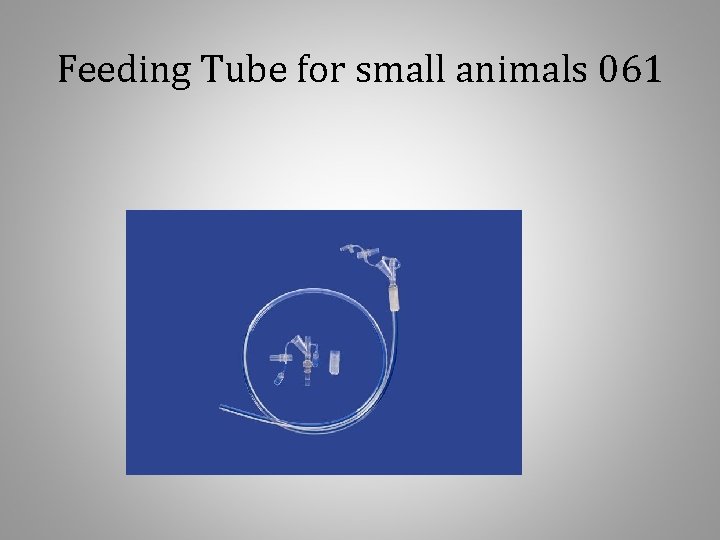 Feeding Tube for small animals 061 