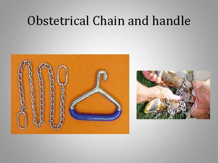Obstetrical Chain and handle 