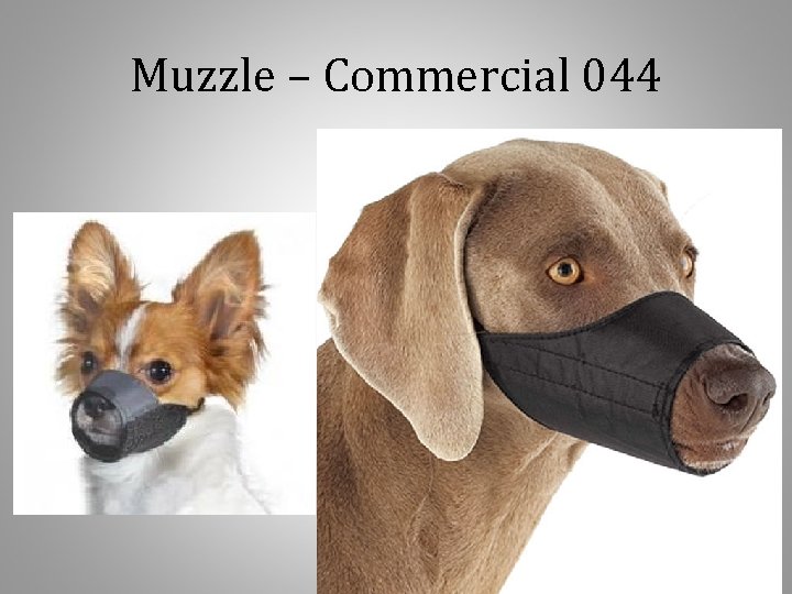 Muzzle – Commercial 044 