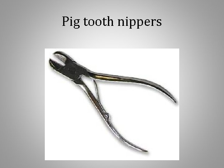 Pig tooth nippers 