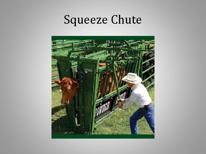 Squeeze Chute 