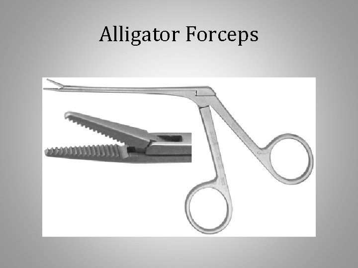 Alligator Forceps 