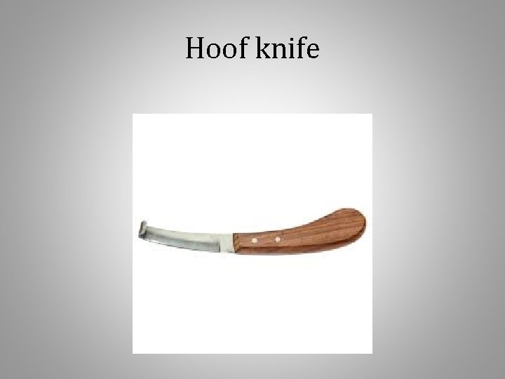 Hoof knife 