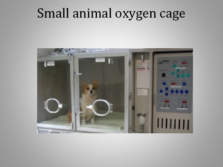 Small animal oxygen cage 