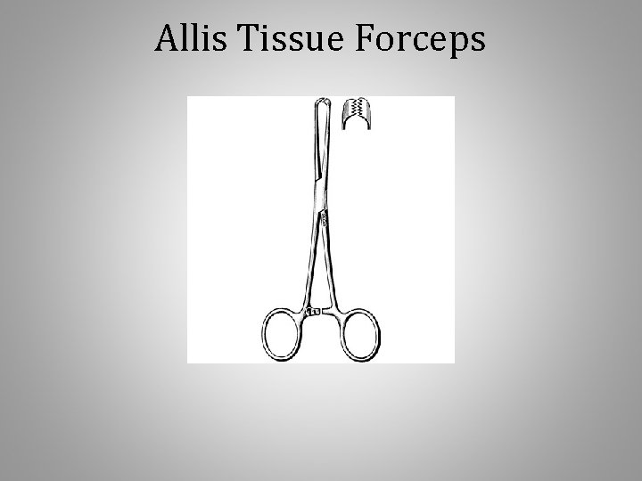 Allis Tissue Forceps 