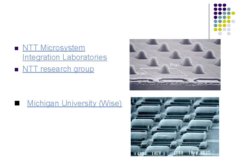 n n NTT Microsystem Integration Laboratories NTT research group n Michigan University (Wise) 