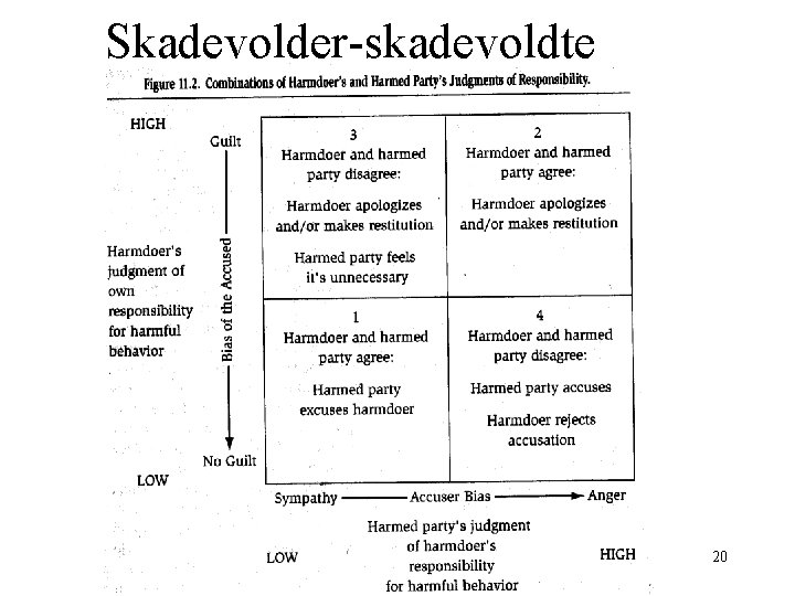 Skadevolder-skadevoldte 20 