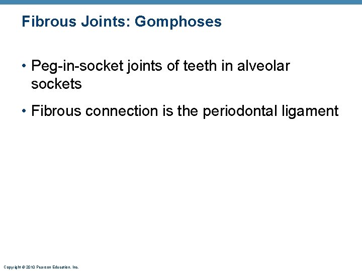 Fibrous Joints: Gomphoses • Peg-in-socket joints of teeth in alveolar sockets • Fibrous connection