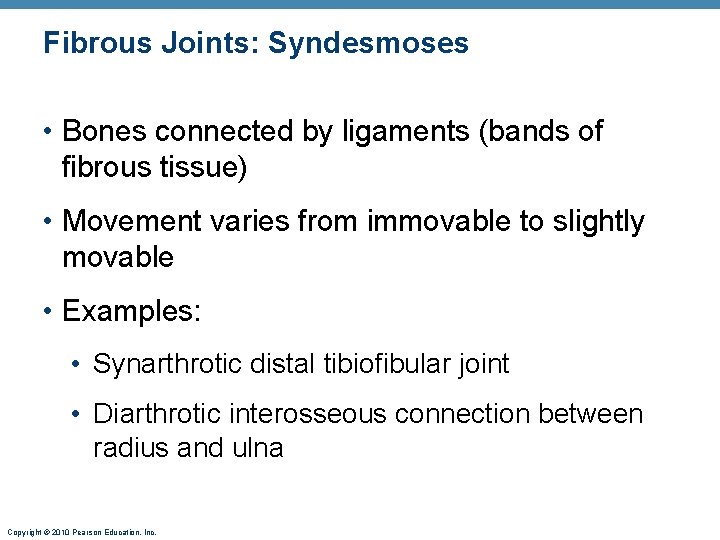 Fibrous Joints: Syndesmoses • Bones connected by ligaments (bands of fibrous tissue) • Movement