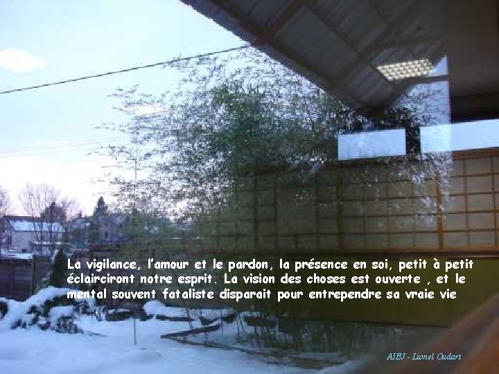 La vigilance, l’amour et le pardon, la présence en soi, petit à petit éclairciront