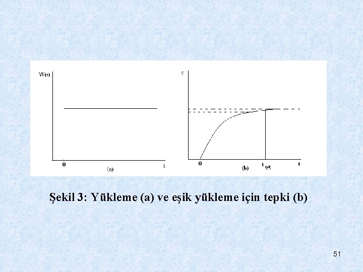 Şekil 3: Yükleme (a) ve eşik yükleme için tepki (b) 51 