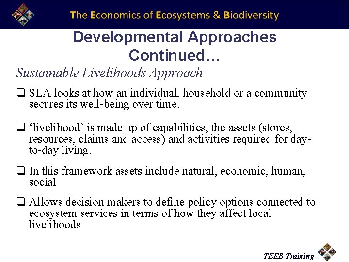 Developmental Approaches Continued… Sustainable Livelihoods Approach q SLA looks at how an individual, household