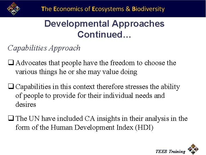 Developmental Approaches Continued… Capabilities Approach q Advocates that people have the freedom to choose