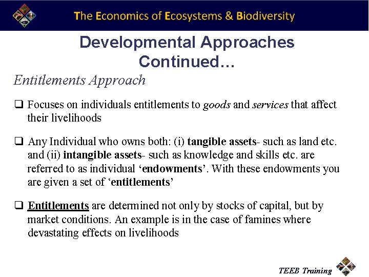 Developmental Approaches Continued… Entitlements Approach q Focuses on individuals entitlements to goods and services