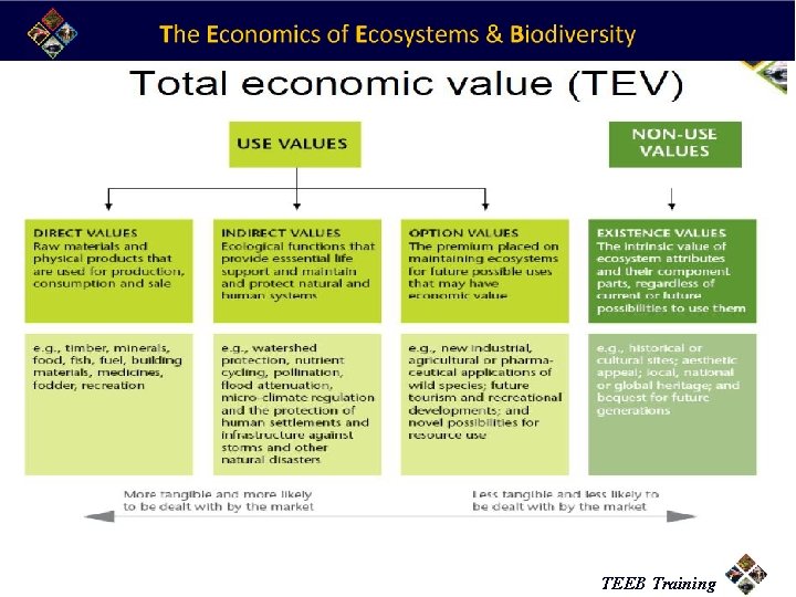 TEEB Training 