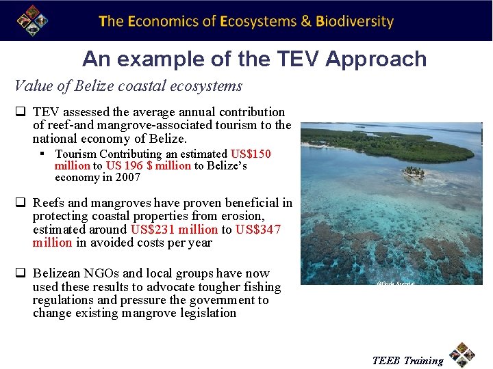 An example of the TEV Approach Value of Belize coastal ecosystems q TEV assessed