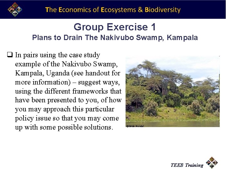 Group Exercise 1 Plans to Drain The Nakivubo Swamp, Kampala q In pairs using